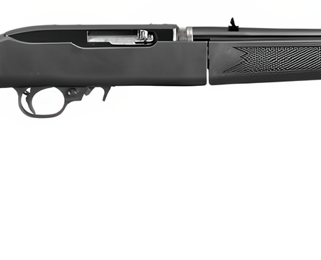 Ruger 10/22 Takedown .22 LR